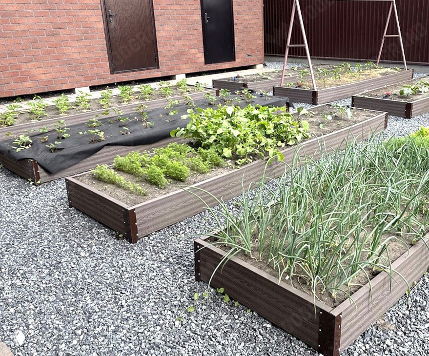 Несколько низких прямоугольных грядок из ДПК на гравийной отсыпке, с рассадой и посевами лука в переднем плане — общий вид огорода после установки.