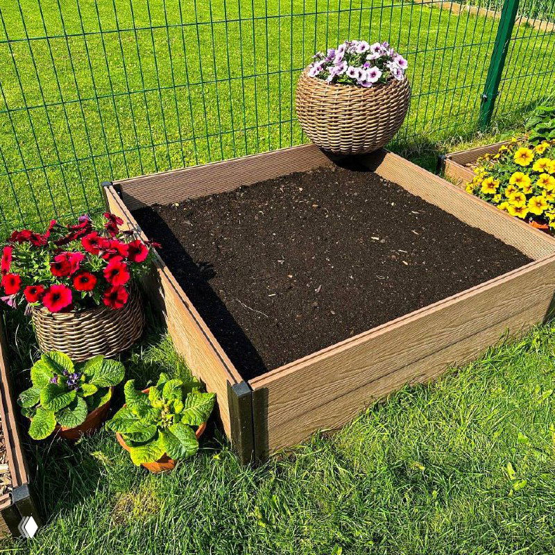 Угловой вид на грядку с мульчей и молодыми растениями, на фоне металлической сетчатой изгороди и зелёного газона в солнечный летний день.