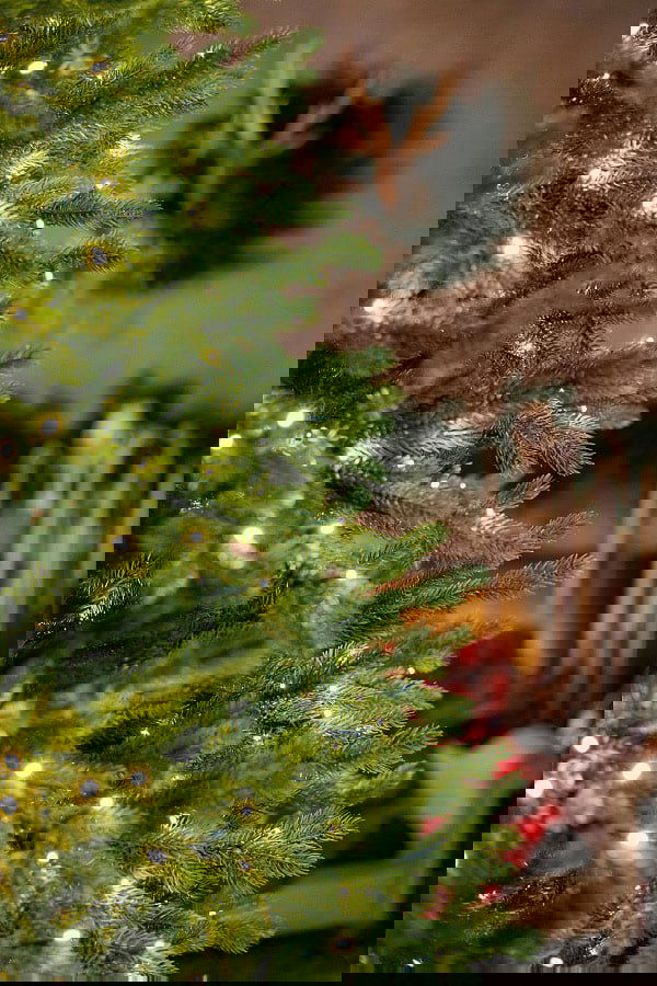 Полный ассортимент ёлочек в шоуруме до конца января