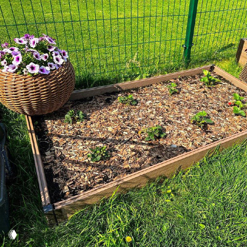 Несколько сборных ДПК грядок в саду с яркими петуниями в плетёных кашпо и аккуратно подстриженной травой вокруг, подчёркивающие ухоженность участка.