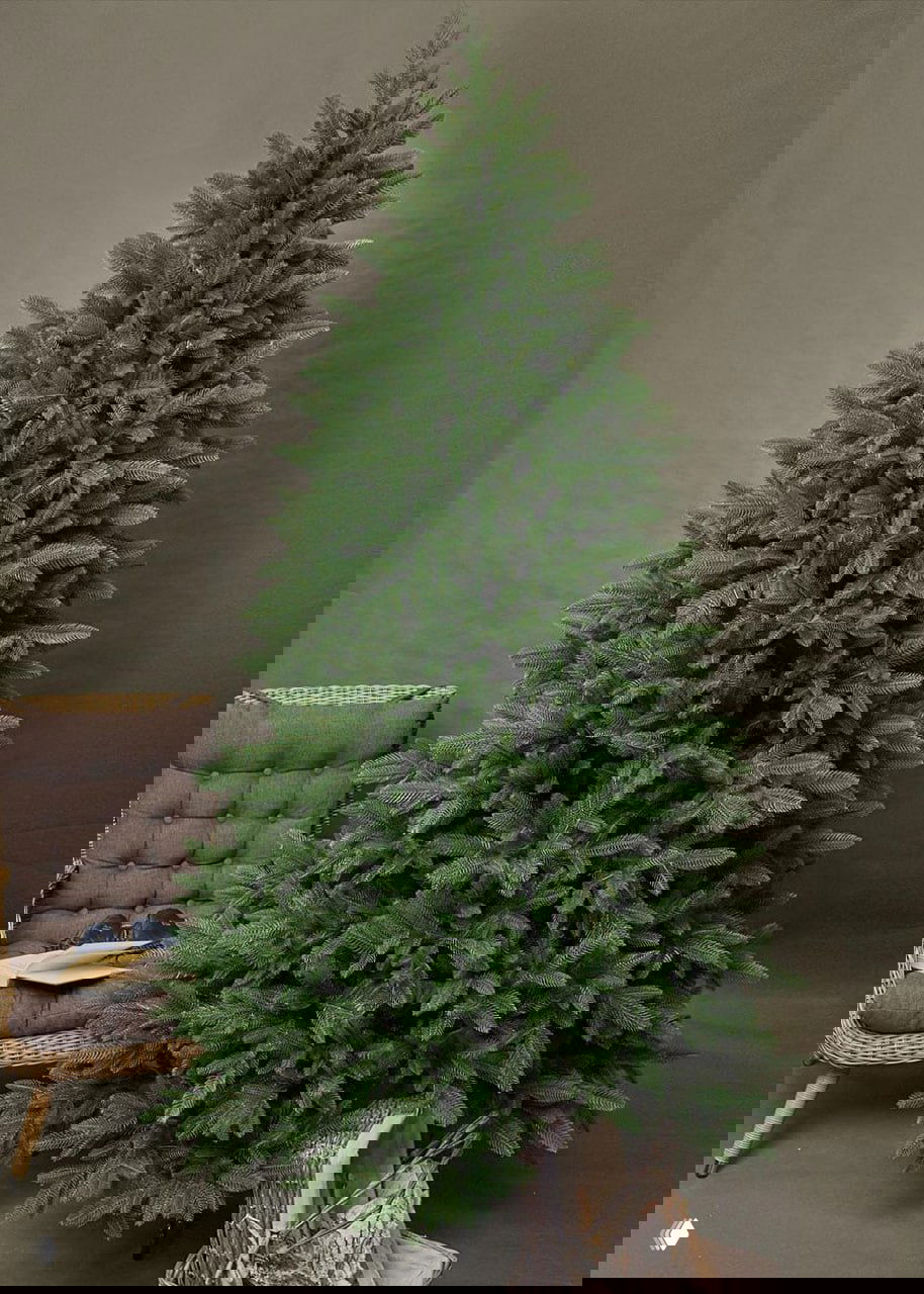 Ель Самарская — классическая ёлка, скидка 20%