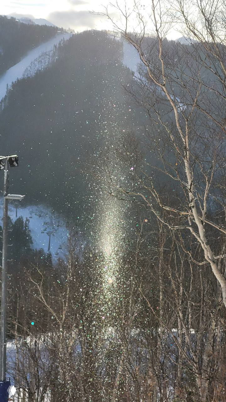 Сахалинский портал