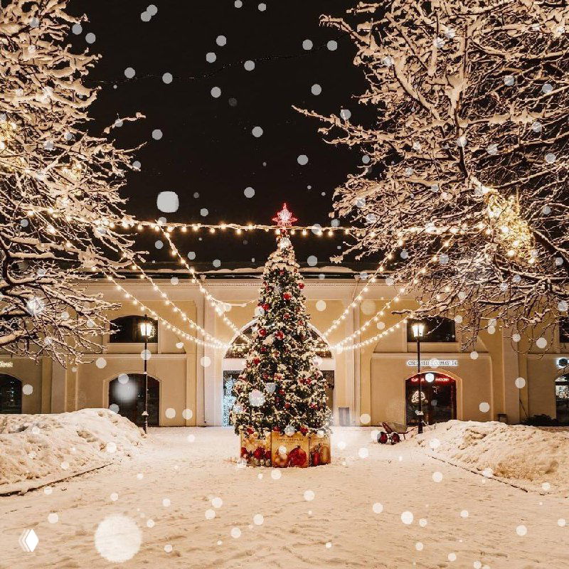 Украшенная ёлка во внутреннем дворе исторического здания, гирлянды и снег создают уютную новогоднюю атмосферу Рязани.