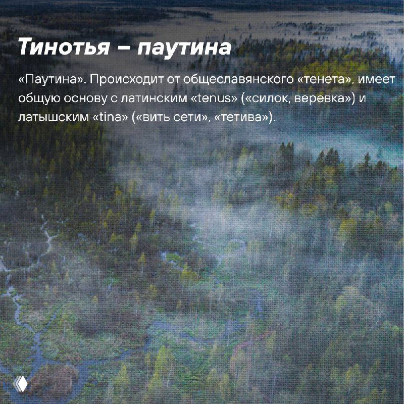 Широкий вид на сельский ландшафт Тверской области: поля, река и характерная для региона равнинная местность под небом.