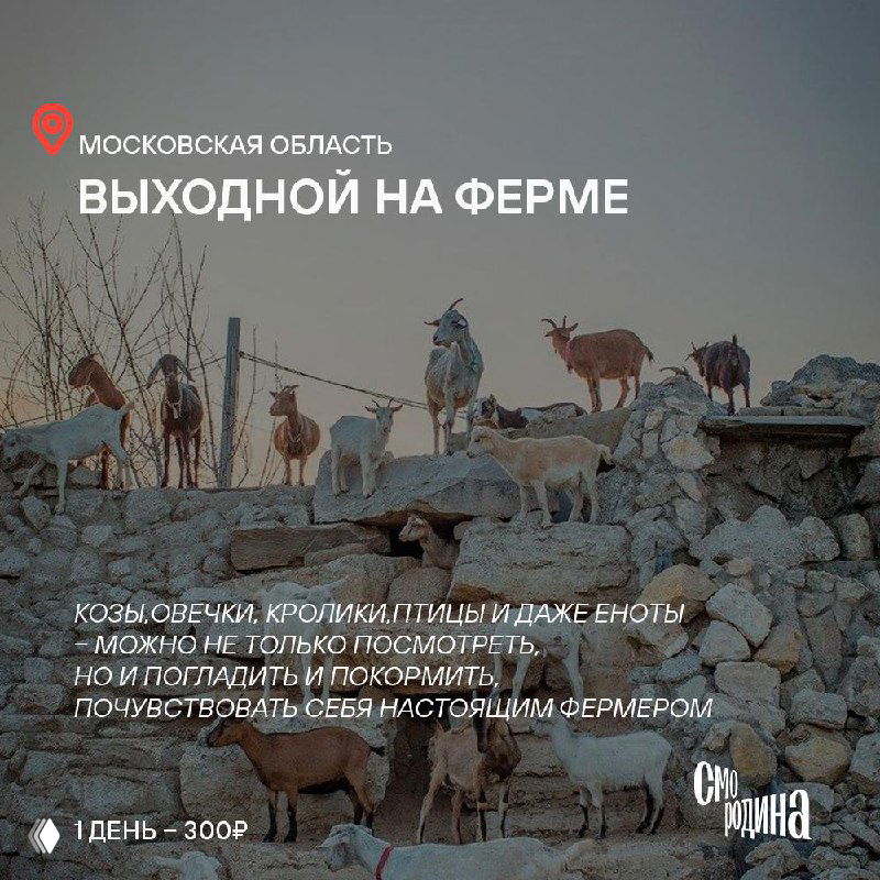 Промо-плакат с видом скалистого или прибрежного ландшафта, использованный в анонсе тура, поверх наложен текст и цена.