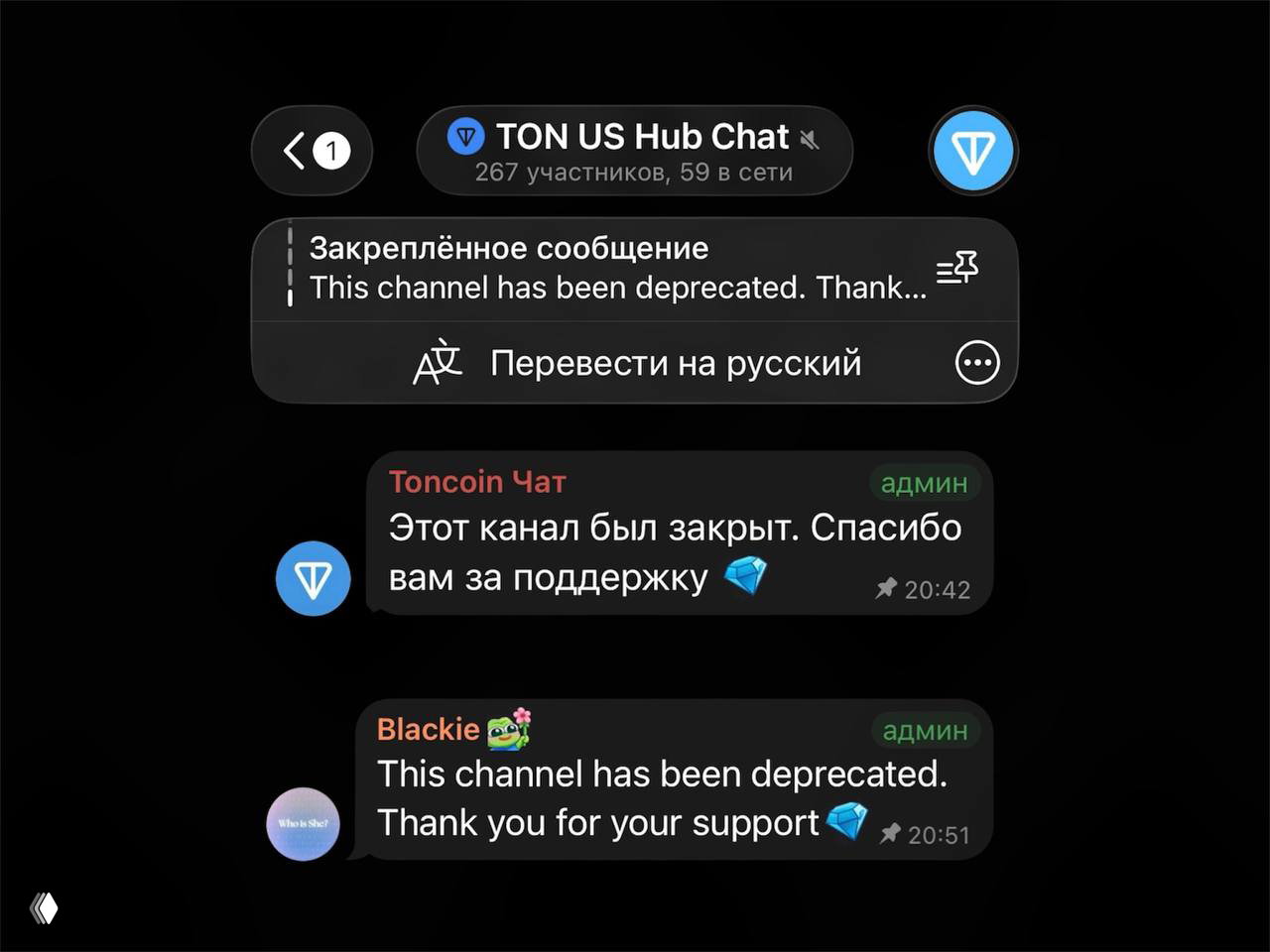 Toncoin‑чаты внезапно ушли на «рекламную паузу»