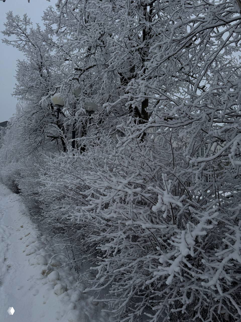Год с нашей первой семейной машиной