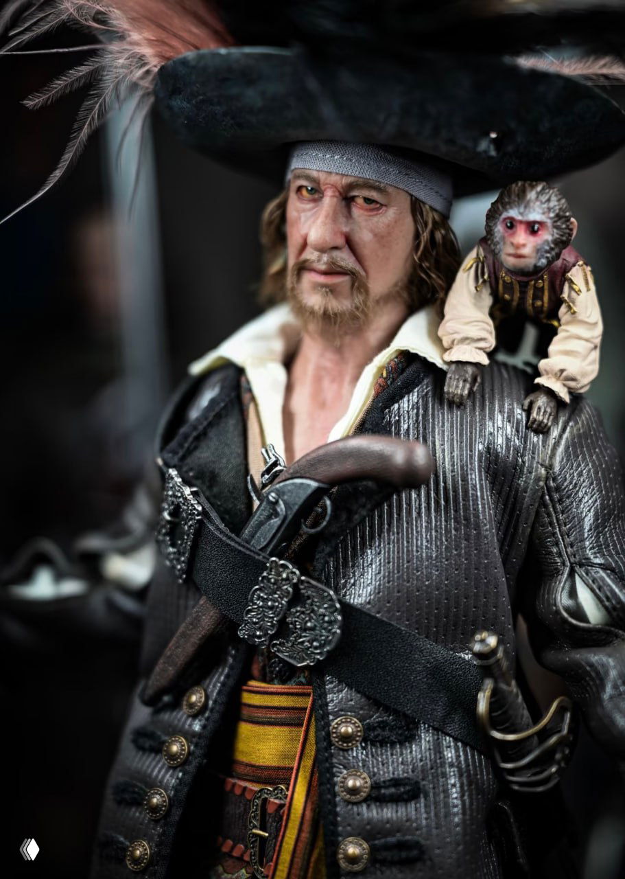Крупный план головы и верхней части туловища Гектора Барбоссы с большой шляпой и сидящей на плече обезьянкой, видно текстуру тканей и эффект состаренной кожи лица.
