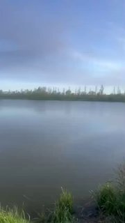 Широкий план водоёма с ровной поверхностью и линией деревьев на дальнем берегу, спокойная утренняя сцена с водяным знаком канала.