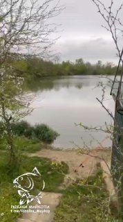 Панорамное фото платного водоёма Утятник: берег с травой и спуск к воде, спокойная гладь озера и пасмурное небо, логотип канала внизу.
