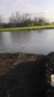 Вид на берег и поверхность водоёма «Рыбацкая заводь»: прибрежная растительность, вода и следы от рыбацкой активности у кромки.