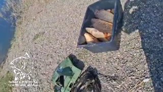 Улов в садке и снасти на гравийном берегу Морозовских прудов; видна вода, берег, тень рыбака и часть улова в садке — отчёт с рыбалки.