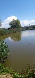Вид на Лесное озеро: спокойная поверхность воды, тростник у берега, голубое небо и удалённые постройки на горизонте весной.