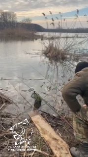 Рыбак на берегу Серебряных прудов у тростника, пасмурное небо, видна вода и прибрежная растительность; логотип канала.
