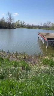 Причал и деревянный понтон на озере Утятник: гладь воды, весенний пейзаж и низкая прибрежная растительность.