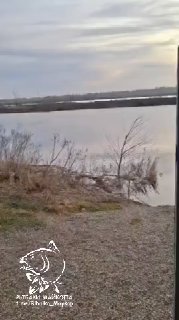 Панорамный вид на берег Морозовских прудов: гладь воды, прибрежная растительность и удалённый горизонт; на кадре виден водный ландшафт и логотип канала.