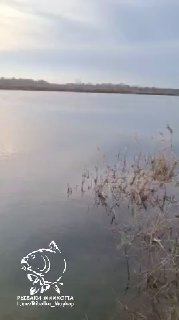 Широкий план пруда с тихой водной поверхностью и береговой растительностью; снимок передаёт спокойную атмосферу места зарыбления, логотип заметен внизу.