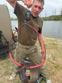 Рыбак держит садок и взвешивает улов на электронных весах в красном обруче на фоне водоёма, видно глинистый берег.