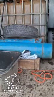 Кадр с прицепом/грузовой зоной: синяя часть кузова, ёмкость и снаряжение для перевозки рыбы видны на фоне; присутствует логотип сообщества.
