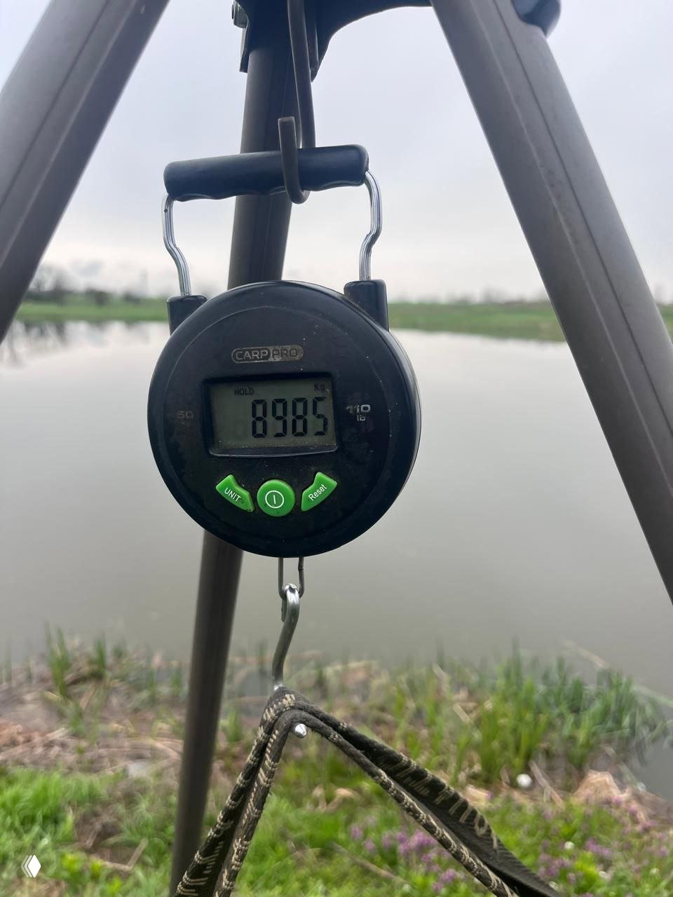 Электронные весы на штативе показывают значение 8.985 (кг) на фоне заводи; видно крюк и ремень — фотография взвешивания из отчёта 13.04.