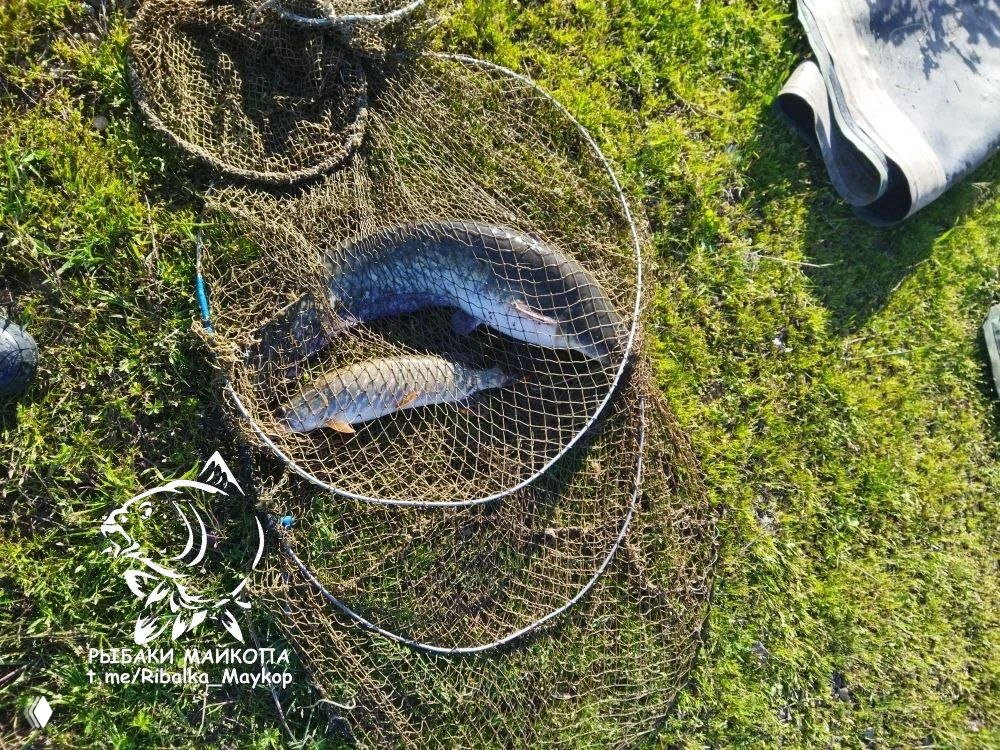 МОРОЗОВСКИЕ ПРУДЫ 07.04