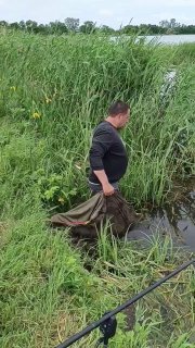 Рыбак несёт подсак или садок по кромке воды в камышах, показаны штанги и прибрежная растительность, общий план с озером.
