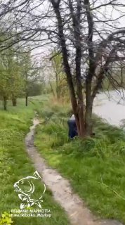 Берег водоёма «Утятник»: узкая тропинка вдоль кромки воды, деревья и человек у берега, виден фон реки и логотип канала на кадре.