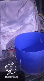 Ночной кадр: синий пластиковый бак на заднем фоне фургона при подготовке к перевозке рыбы, видна часть багажника и логотип «РЫБАКИ МАЙКОПА».