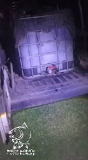 Кадр из ночного видео: ёмкость для зарыбления на полу фургона, видна пластиковая кубическая ёмкость и рабочее освещение, логотип канала на кадре.