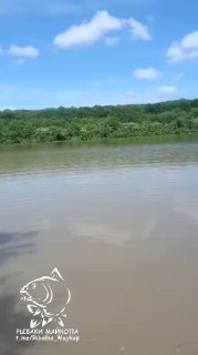 Панорамное фото озера Белка с береговой зелёной травой, спокойной водой и светлым небом с облаками; внизу — логотип канала.