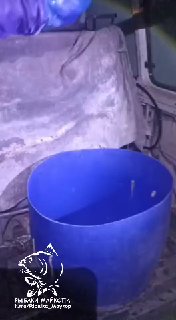 Ещё один тёмный кадр с синим баком в кузове фургона, рабочие действия по подготовке зарыбления видно частично, ночное освещение фонарём.