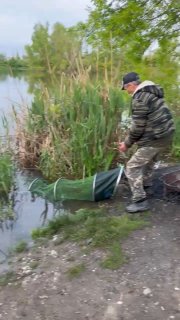 Рыбак устанавливает садок у кромки воды: в кадре камыши, сеть и процесс подсадки улова в живарник на берегу Утятника.