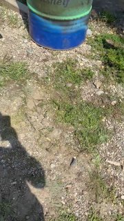 Фото с рыбалки на Лесном Острове: гравийный берег, тень рыбака и синий бак/ведро в кадре — документальный снимок с сессии.