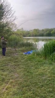 Дальний вид на залив Утятника: рыбак на фоне тростника, спокойная вода и растительный берег в пасмурный вечер.