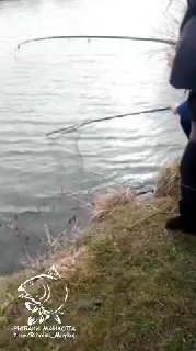 Берег водоёма с заброшенными удочками и прибрежной травой; кадр вертикального видео показывает место ловли на Родниковке.