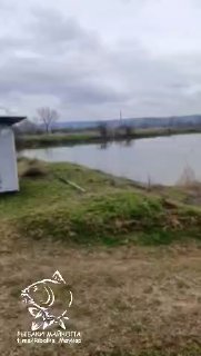 Панорамный вид на платный водоём «Хвостатый Рай»: берег, прибрежная хижина, облачное небо и холмы на заднем плане, виден логотип канала.