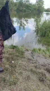 Сцена на берегу: рыбак и подсак у воды, на заднем плане тростник и луг; кадр из видео с морфологией берега водоёма.