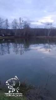 Пруд в хуторе Гавердовском при пасмурной погоде: спокойная водная поверхность с зеркальным отражением берега, редкие берёзы и приглушённый свет.