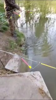 Рыбак у кромки воды с удилищами и поплавками: видны брызги и круги на поверхности после заброса, частичный вид бетонной ступени берега.