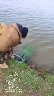 Рыбак на берегу тянет подсак с уловом: куртка и тёмная шапка, видна поверхность воды и прибрежная растительность, заметен логотип «Рыбаки Майкопа».