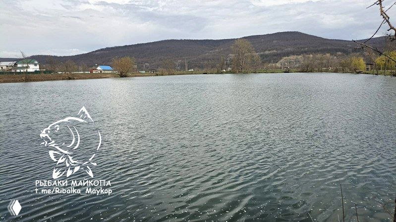 Панорама водоёма Шунтук: спокойная поверхность воды, дальний берег с деревьями и холмами, заметен логотип «РЫБАКИ МАЙКОПА».
