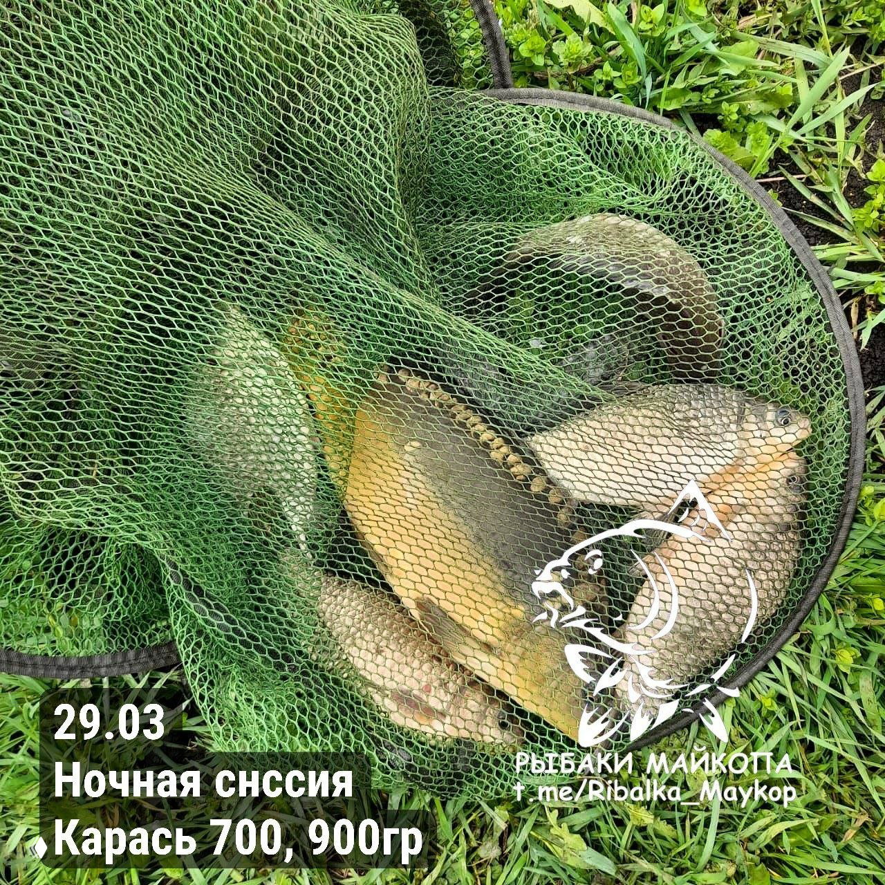ЛЕСНОЙ СТЕПНОЙ — уловы рыбаков