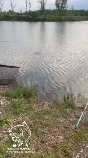 Кадр прибрежной зоны Лесного Острова: удилище у воды, галька и растительность, на фото виден логотип канала Рыбаки Майкопа.