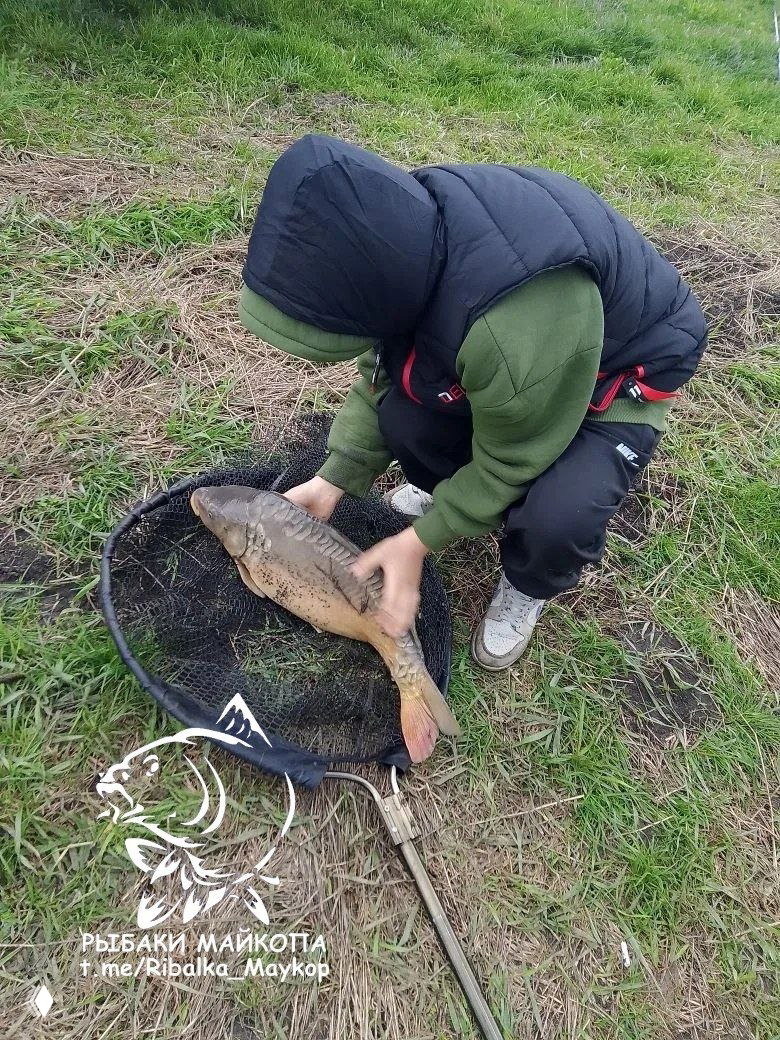 Рыбак в тёплой куртке приседает на травянистом берегу и бережно держит крупного карпа над подсаком; на фото виден логотип канала.