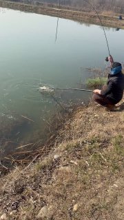 Рыбак на корточках у кромки воды вытаскивает пойманную рыбу, рядом удочка и влажный грунт на берегу — момент вываживания.