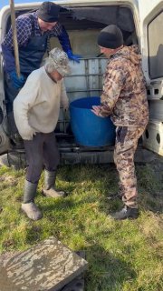 Двое мужчин переносят синий таз с рыбой из кузова автомобиля; видно рабочую одежду, резиновые сапоги и поле около пруда во время зарыбления.