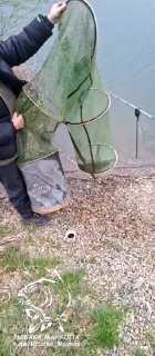 Рыбак у воды держит подсак и садок на берегу Морозовских прудов; видны удочка, берег и ранневесенний пейзаж.
