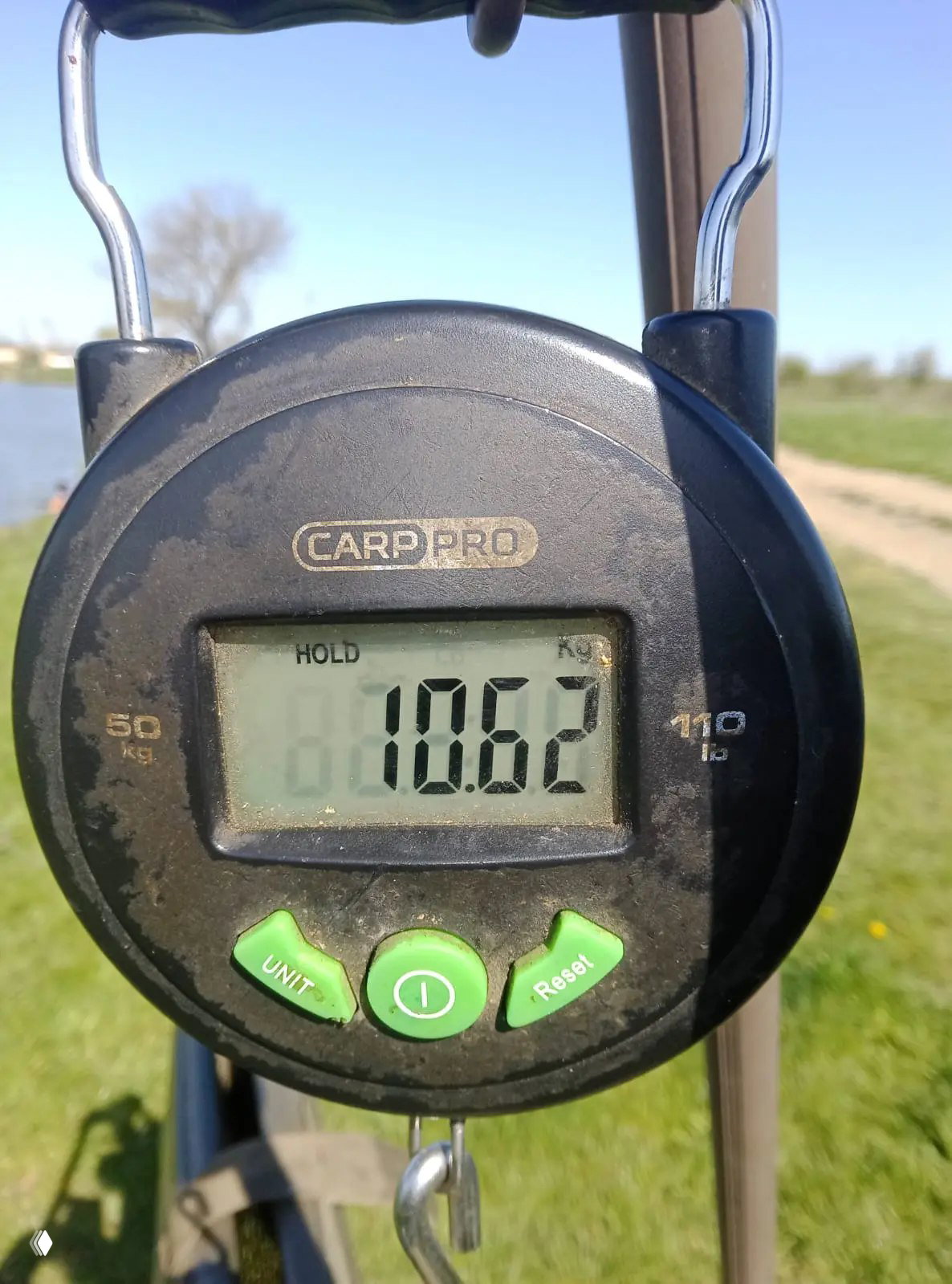 Цифровые весы Carp Pro с показанием 10.62 кг на фоне травы и озера, фото подтверждающее вес улова в отчёте.
