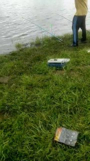 Рыбак стоит у кромки воды с удочкой, на траве рядом коробка с снастями и упаковка прикормки — сцена с берега пруда.