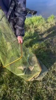 Подсак с уловом на травянистом берегу водоёма Утятник, вид крупным планом, свежая рыба и сачок в руках рыбака.